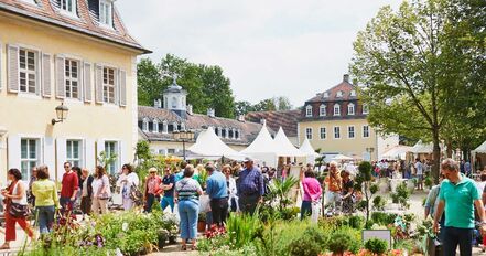 Gartenfest Hanau